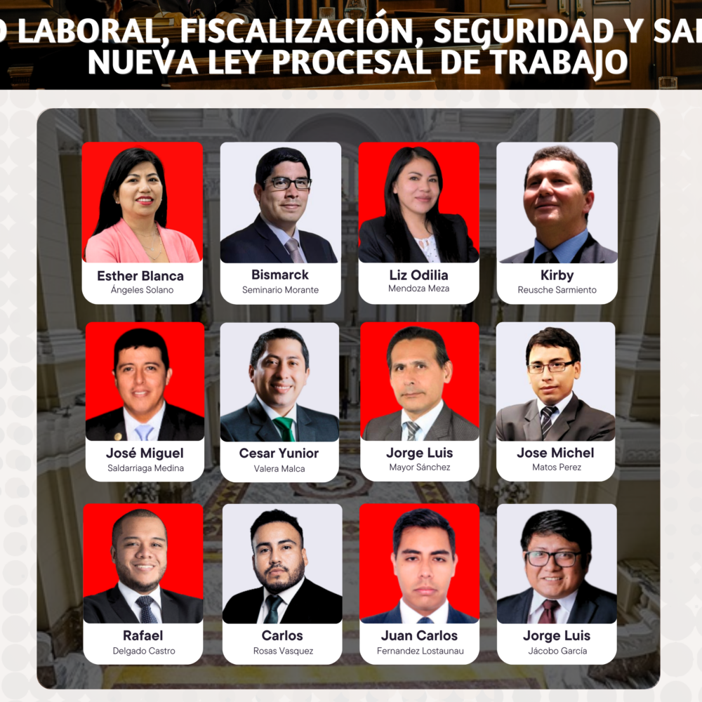 Diplomado Especializado, Derecho Laboral, Fiscalización, Seguridad Y Salud En La Nueva Ley Procesal De Trabajo