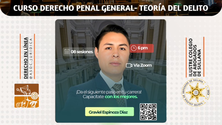 Curso Derecho Penal Parte General – Teoría del Delito