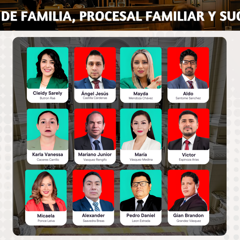 Diplomado Especializado Derecho de Familia, Procesal Familiar y Sucesiones