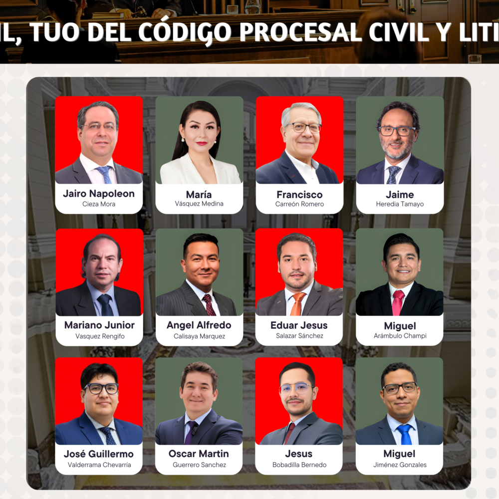 Diplomado Especializado, Derecho Civil, TUO del Código Procesal Civil y Litigación Oral