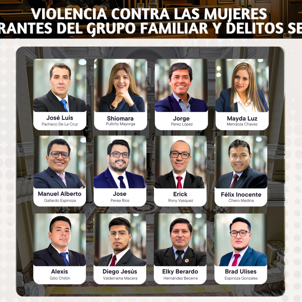 Diplomado Especializado, Violencia Contra las Mujeres e Integrantes del Grupo Familiar y Delitos Sexuales