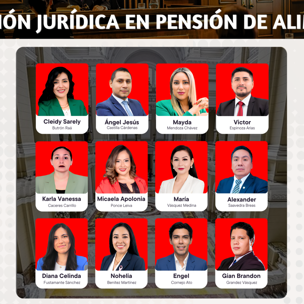 Diplomado Especializado, Redacción Jurídica en Pensión de Alimentos