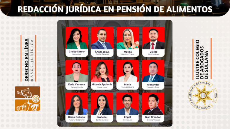 Diplomado Especializado, Redacción Jurídica en Pensión de Alimentos